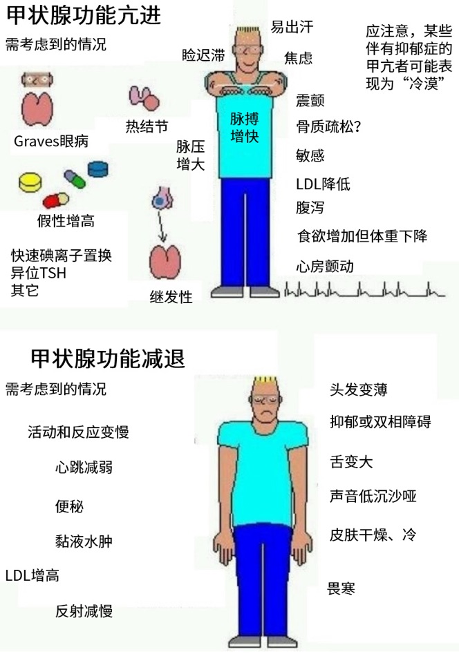 甲减患者如何健康减肥？科学方法助你轻松瘦身