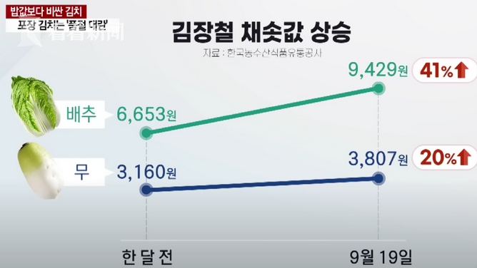 韩国总统最新消息：尹锡悦政府面临的挑战与机遇