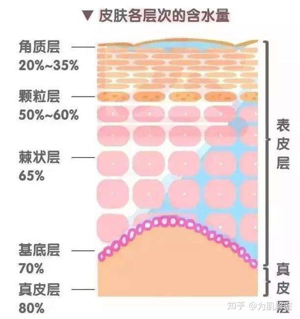 脂肪粒是怎么形成的？深入探究其成因、预防及护理方法