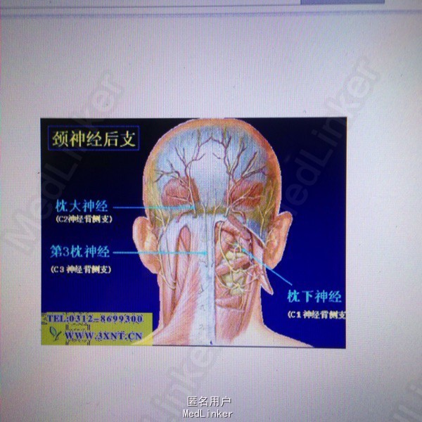 后脑勺疼是怎么回事？深度解析常见原因及应对方法