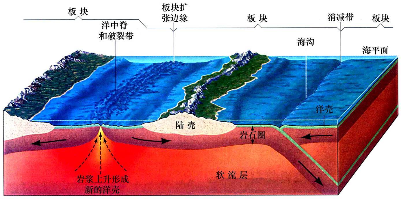 为什么会有地震？从地球特征到人类应对的分析