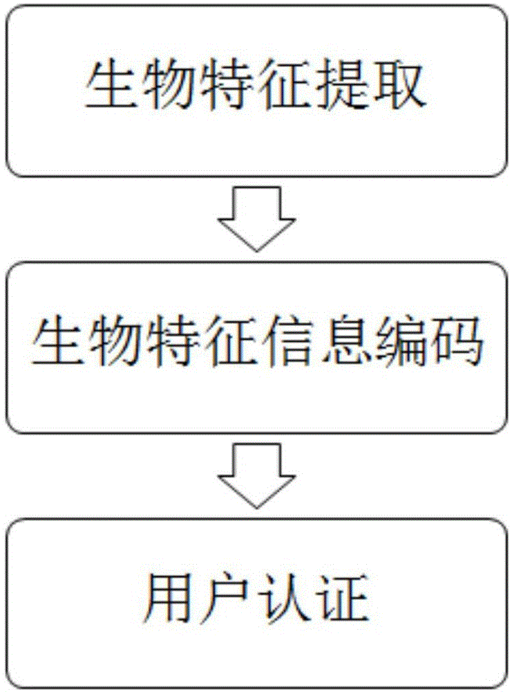 电脑锁屏密码怎么设置？详解Windows、Mac及安全策略