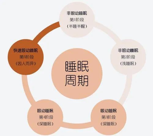 深度解析：怎么改善睡眠？助你拥有高质量睡眠的实用指南