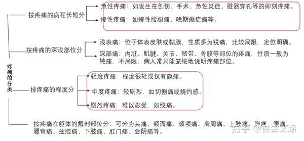 三分神经疼痛治疗方法：从诊断到治疗的全面解释