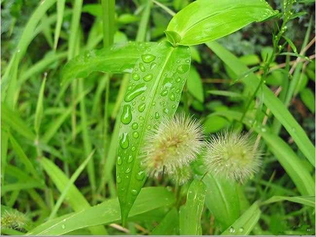 牛皮癣怎么治疗？最新疗法、护理及预防指南