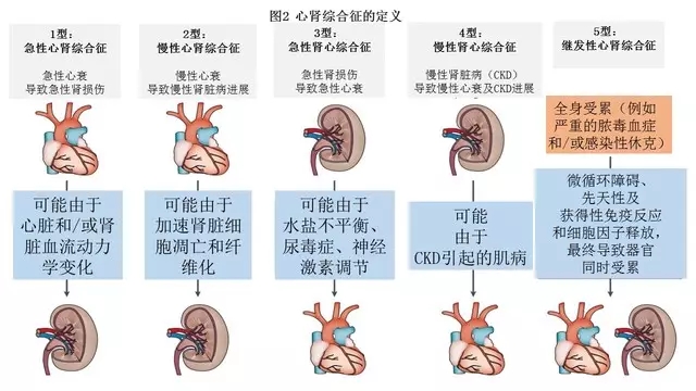 男性即将面对的障碍：会为什么得前再肾炎？