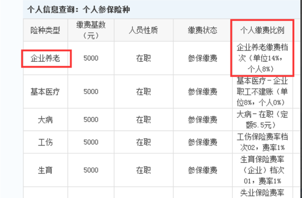 养老保险怎么查？一篇文章带你掌握查询技巧及相关政策解读