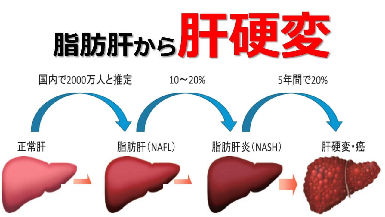 繁星点点 第66页