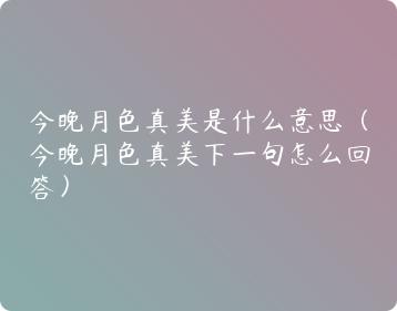 今晚的月色真美下一句怎么接？情感表达与场景烘托的巧妙结合