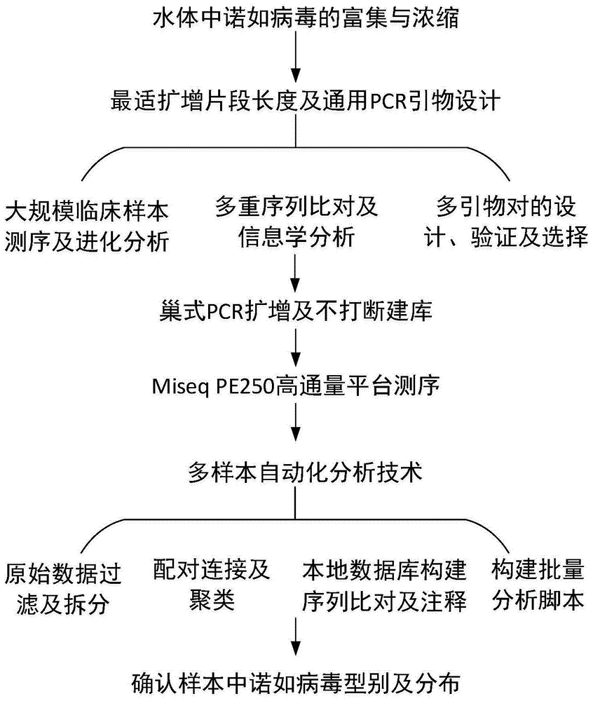 怎么判断孩子是不是诺如病毒？家长必知的症状、鉴别及应对策略