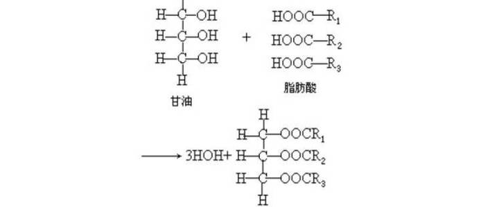 红叶飘零 第57页