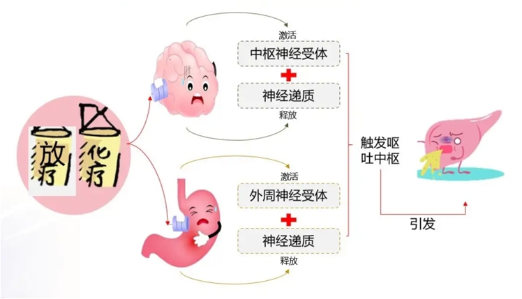 恶心呕吐是怎么回事？深度解析呕吐的成因、症状及应对方法