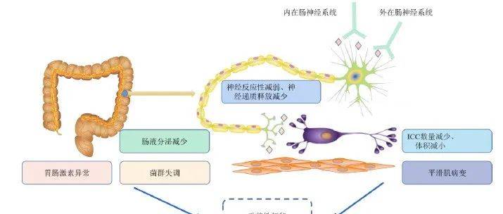 便秘怎么治疗？深度解析便秘成因、治疗方法及预防措施