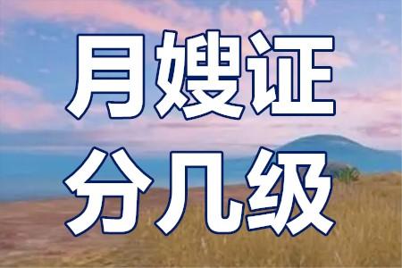 月嫂证考试指南：全面解读月嫂证报考流程及相关政策