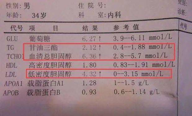 甘油三酯高是怎么回事？深度解析高甘油三酯的成因、危害及应对策略