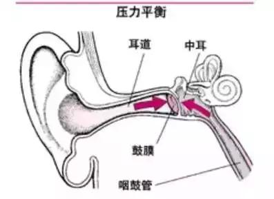 耳朵进水了怎么办？游泳后耳朵难受的急救处理及预防方法