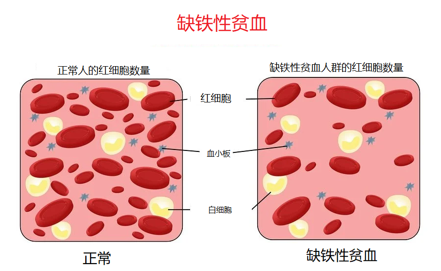 逆风翻盘 第58页