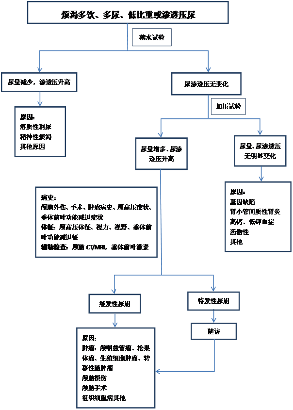 尿频是怎么回事？深度解析尿频的常见原因、症状及治疗方法