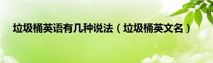 垃圾桶用英文怎么说？深度解析不同场景下的英文表达及文化差异