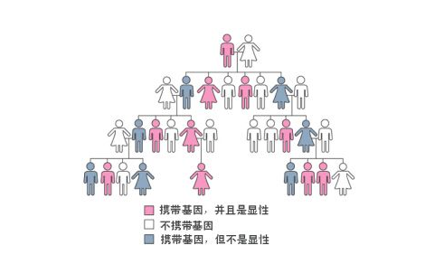 狐臭是怎么引起的？深入解析腋臭的成因、症状及应对方法