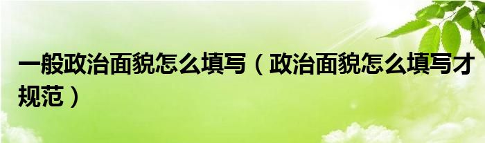 政治面貌怎么填写？详细说明及应详事项分析