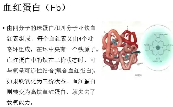 血红蛋白偏高是怎么回事？详解红细胞增多症与潜在风险