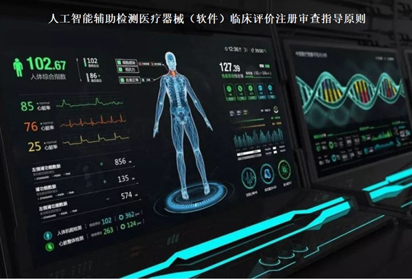 考察谈话技巧：如何客观公正地评价他人，提升选拔效率