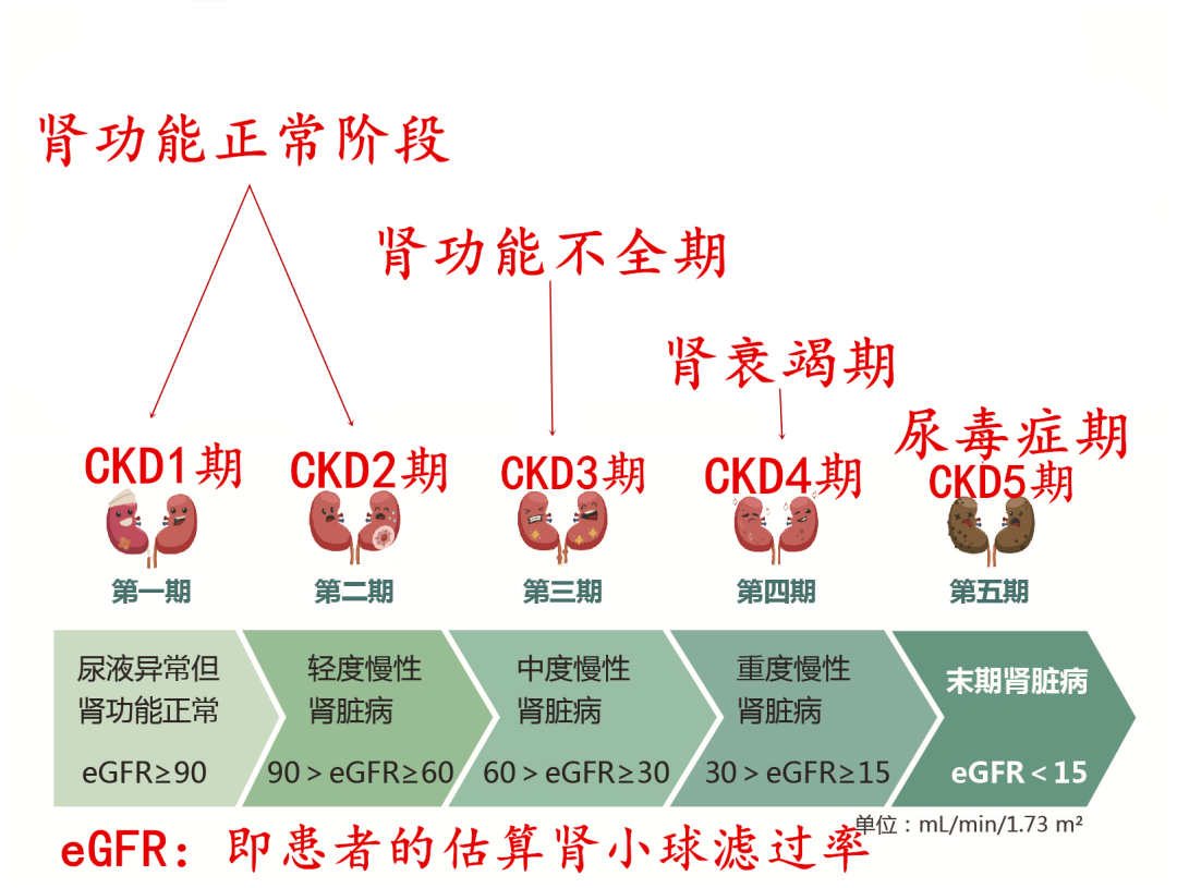 最新动态 第924页