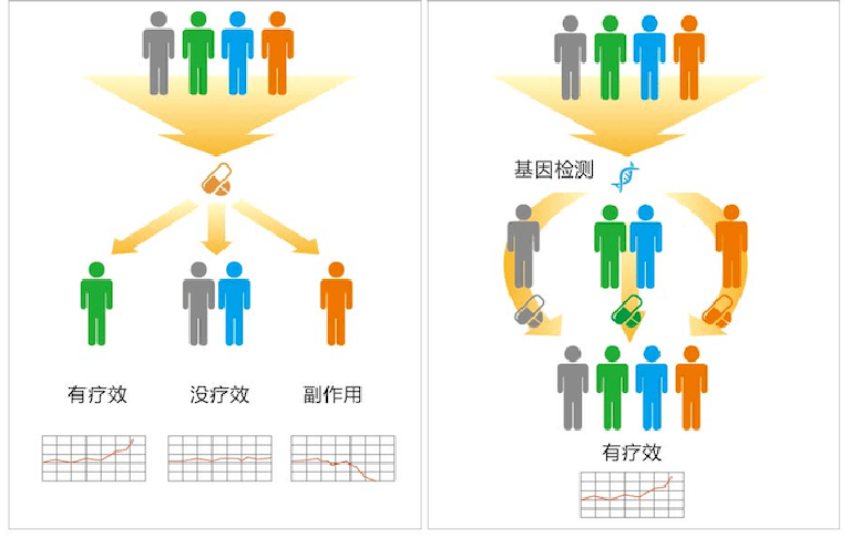 血压高怎么调理？深度解析高血压的调理方法及潜在风险