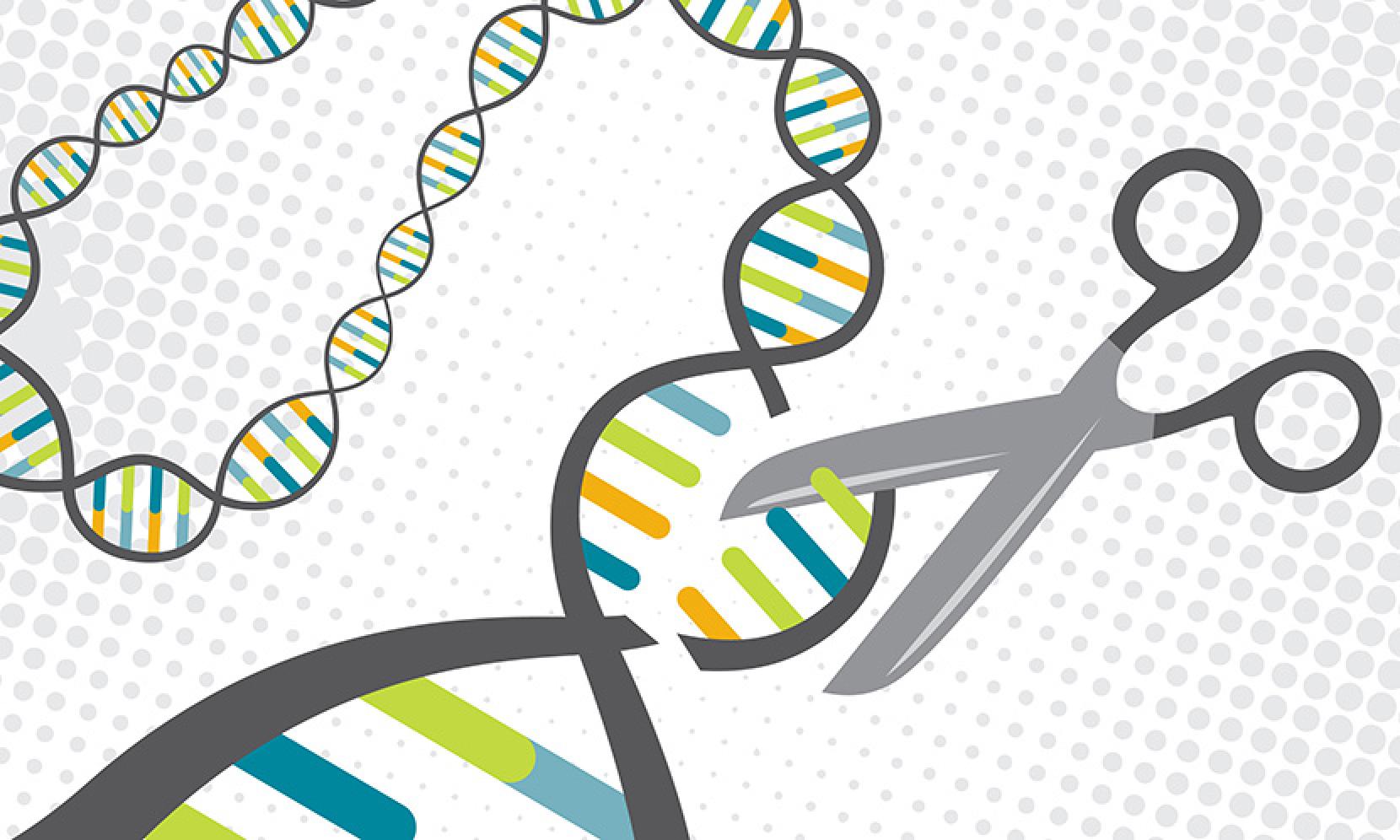 洋葱怎么发芽？详解洋葱催芽、种植及保存技巧