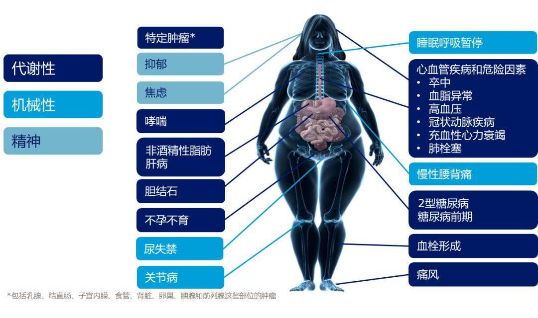 胖人怎么减肥：科学方法与个性化策略，轻松拥有健康身材