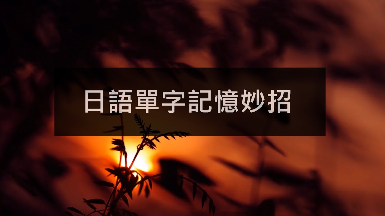 高效掌握日语学习方法：从入门到精通的实用指南