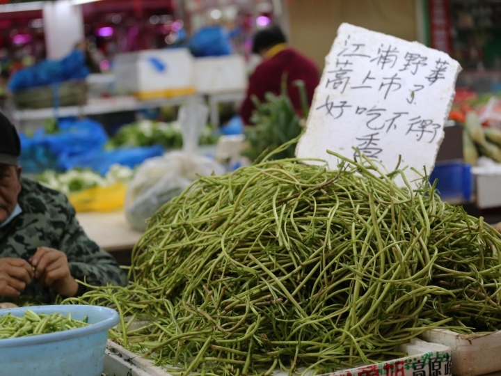 芦蒿怎么炒好吃？解锁春日美味的秘诀与技巧