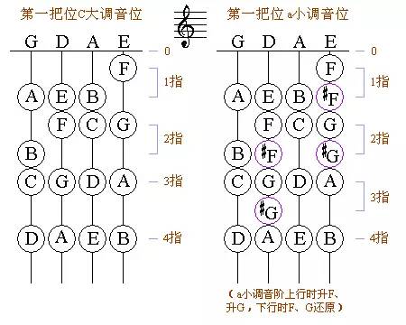 零基础学习小提琴：从入门到精通的完整指南