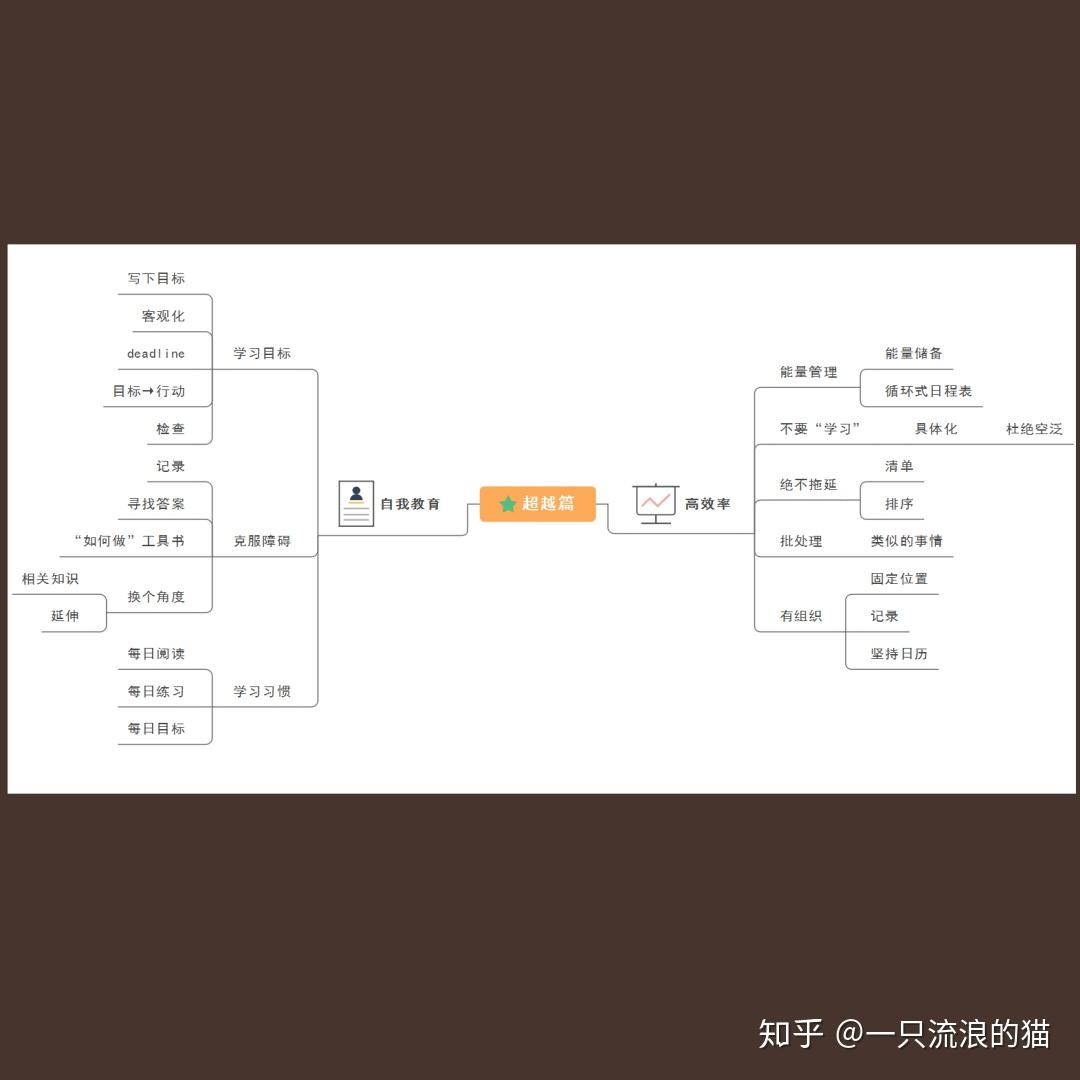 宠物英语怎么说？带你玩转宠物英文表达，涵盖各种宠物及相关场景