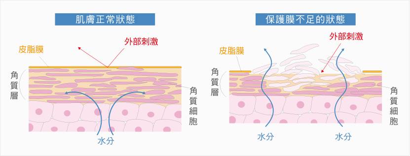 脑袋上起疙瘩是怎么回事？详解各种原因及应对方法