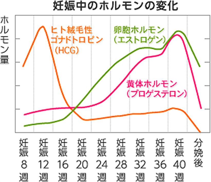 怀孕初期流褐色分泌物怎么办？原因、处理及就医建议