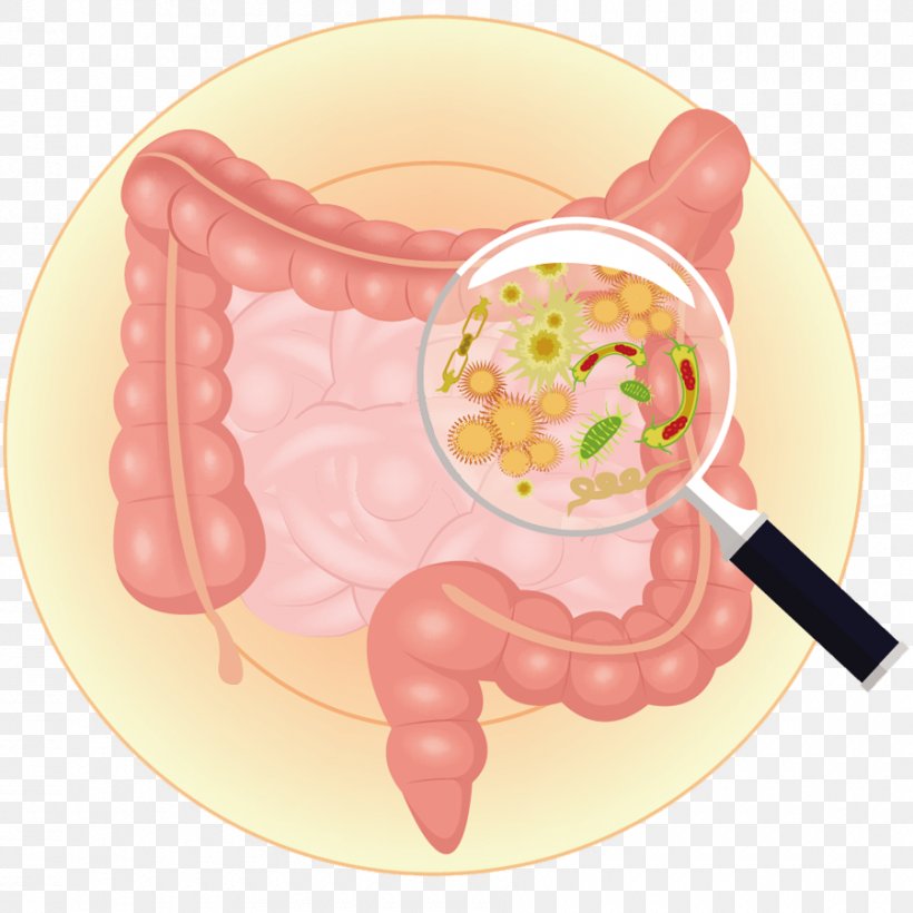 感觉食道有东西堵着怎么回事？深度解析各种原因及应对方法