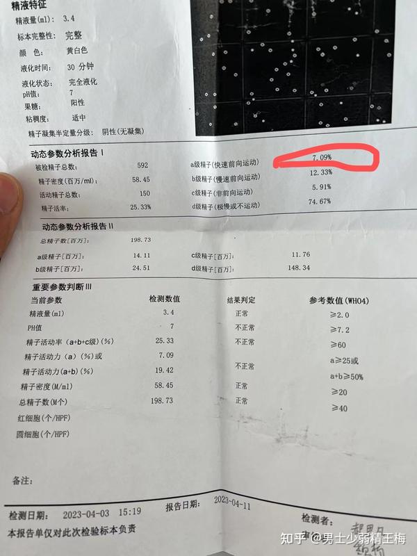 弱精怎么调理最好？全面解析提升精子质量的有效方法