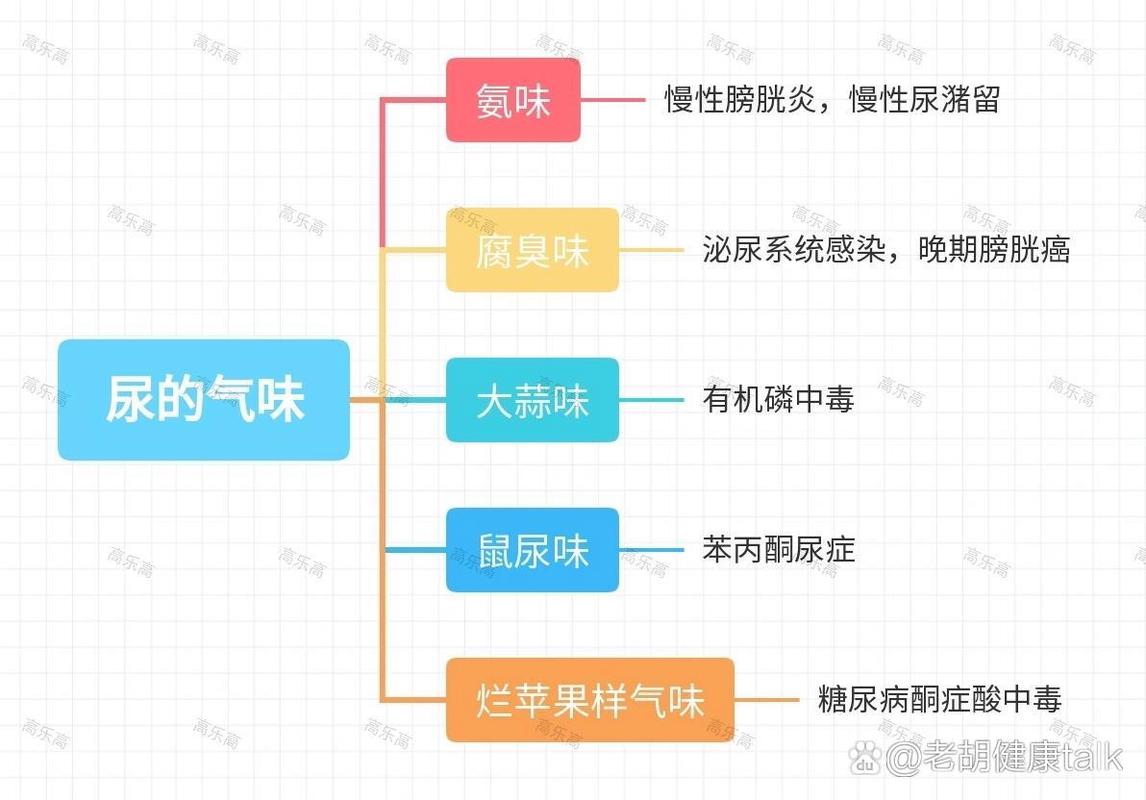 尿液分析报告怎么看？解读报告的实用指南及常见问题详解