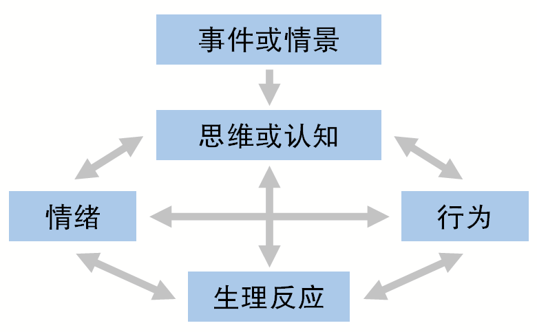 放不下怎么办？走出情感困境的实用指南