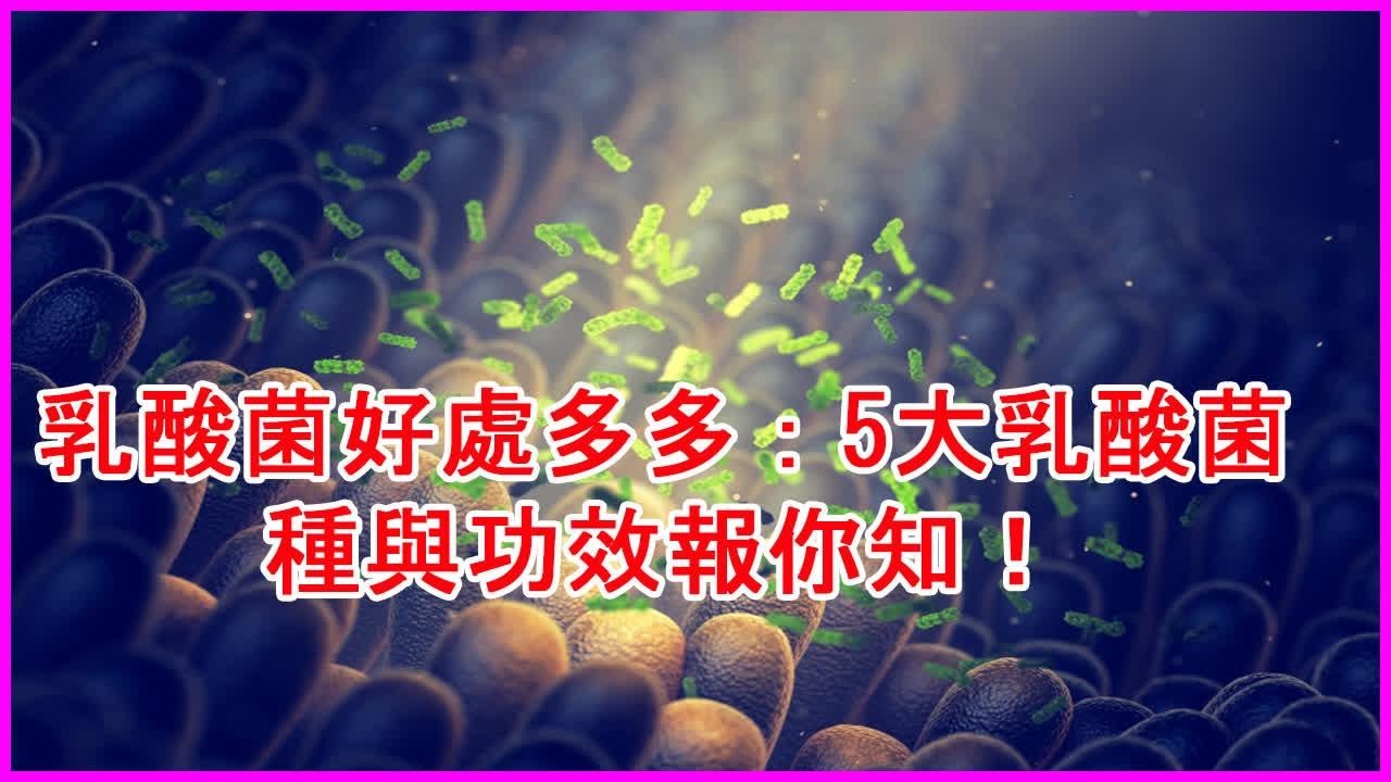 零失败！手工酸奶制作全攻略：从入门到精通，轻松在家自制美味酸奶