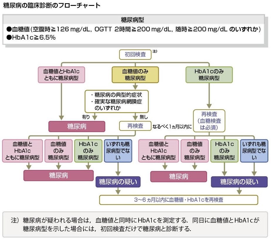 低血糖怎么调理才能恢复健康？专业人士详解调理方法及注意事项