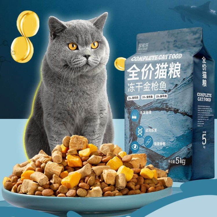 猫粮怎么选择？一份全面的猫粮选购指南，助您为爱猫挑选健康美味的粮食