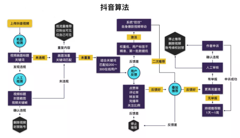 抖音直播新手入门指南：快速上手直播技巧及避坑指南