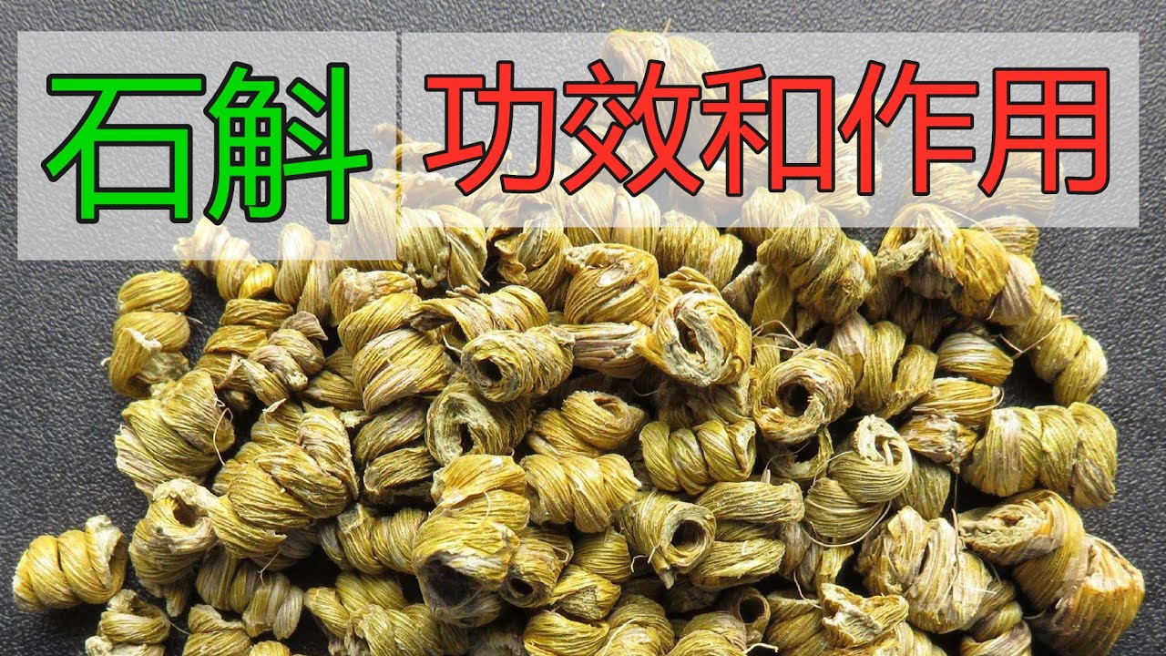 石斛怎么养殖：从种植技巧到病虫害防治，带你全面了解铁皮石斛种植