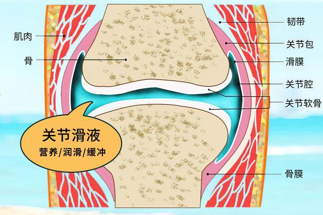 膝盖积液怎么消除和恢复？专业解读及恢复指南