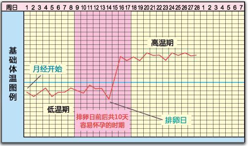 宝宝发烧了怎么办？实用指南及应对策略详解