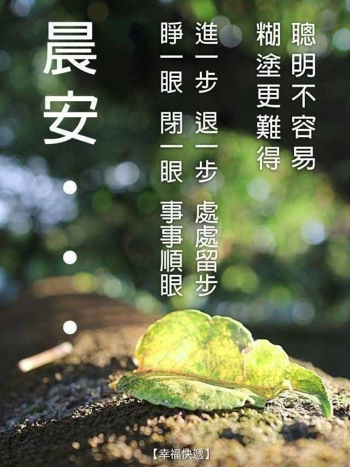 怎么形叙早晨：从多个角度分析早晨的美和情感