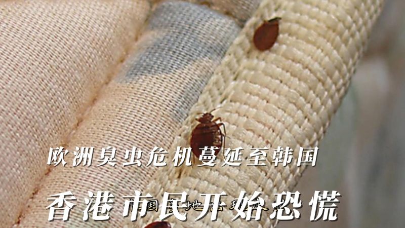 床虱怎么彻底去除？家庭灭杀床虱的完整指南及预防措施